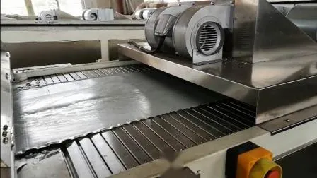 Powder Coating Machine for Thermosetting Plastic Powder/Process of Manufacturing Powder Paint/Electrostatic Powder /Manufacturing Process for Coating Powder 